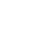 Wise Law Offices LLC White Logo