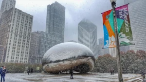 chicago-egg-in-a-snowstorm